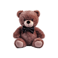 Classic Teddy Bear