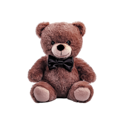 Classic Teddy Bear