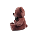 Classic Teddy Bear