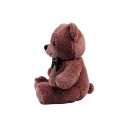 Classic Teddy Bear