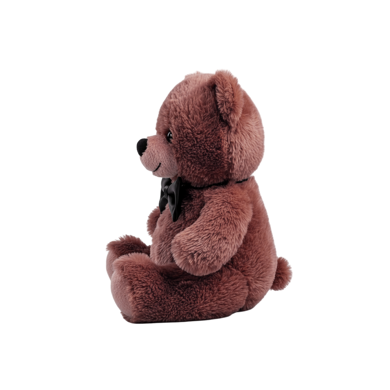 Classic Teddy Bear
