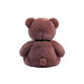 Classic Teddy Bear