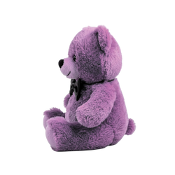 Classic Teddy Bear
