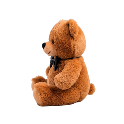 Classic Teddy Bear