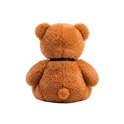 Classic Teddy Bear